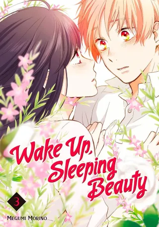 Cover of Wake up, Sleeping Beauty volume 3, English edition