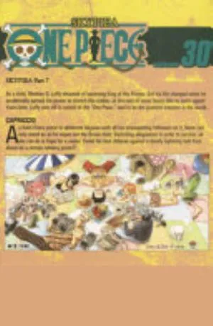 Cover of One Piece volume 30, English edition