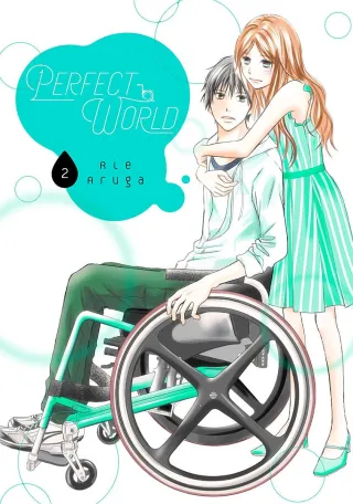 Cover of Perfect World volume 2, English edition