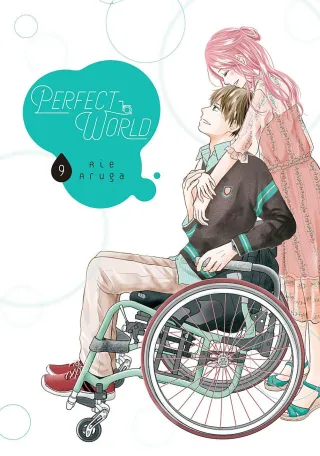 Cover of Perfect World volume 9, English edition
