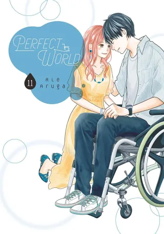 Cover of Perfect World volume 11, English edition