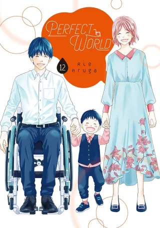 Cover of Perfect World volume 12, English edition