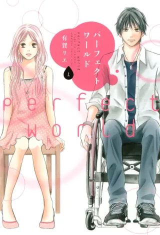 Cover of Perfect World