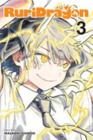 Cover of RuriDragon volume 3, English edition