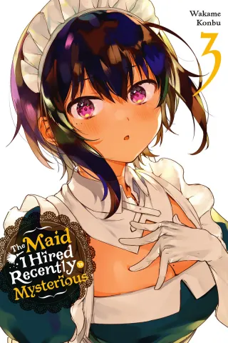 Cover of The Maid I Hired Recently is Mysterious volume 3, English edition