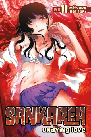 Cover of Sankarea: Undying Love volume 11, English edition