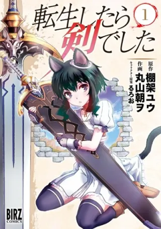 Cover of Reincarnated as a Sword