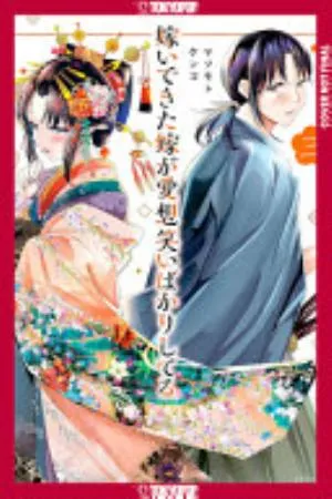 Cover of My New Wife’s Fake Smile volume 3, English edition