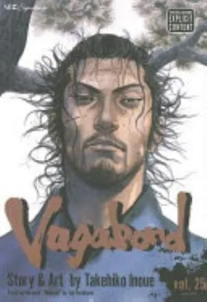 Cover of Vagabond volume 25, English edition