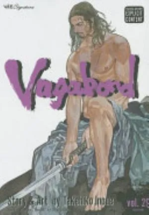Cover of Vagabond volume 29, English edition