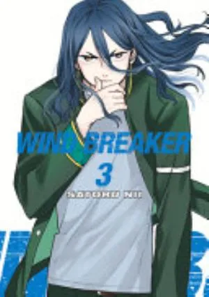 Cover of WIND BREAKER volume 3, English edition