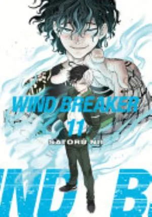 Cover of WIND BREAKER volume 11, English edition
