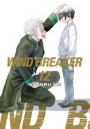 Cover of WIND BREAKER volume 12, English edition