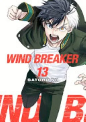 Cover of WIND BREAKER volume 13, English edition