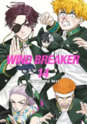 Cover of WIND BREAKER volume 14, English edition