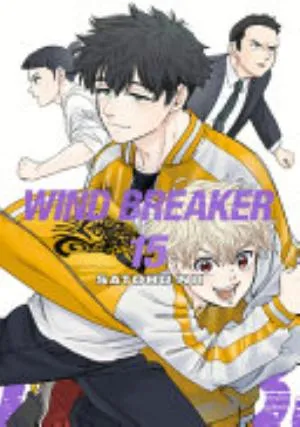 Cover of WIND BREAKER volume 15, English edition