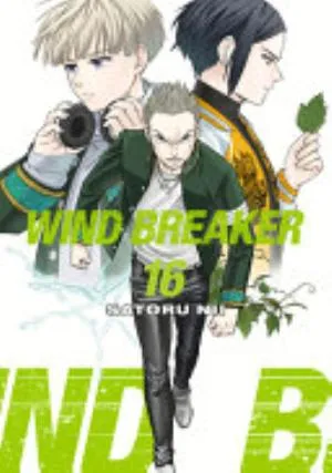 Cover of WIND BREAKER volume 16, English edition