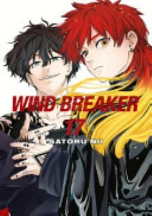 Cover of WIND BREAKER volume 17, English edition