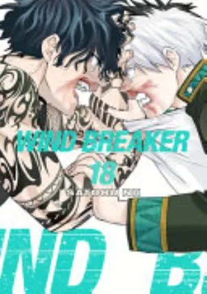 Cover of WIND BREAKER volume 18, English edition