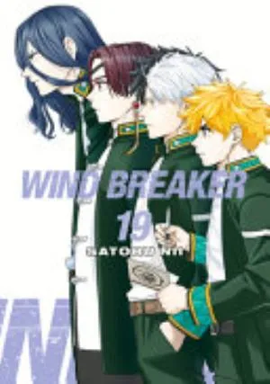 Cover of WIND BREAKER volume 19, English edition