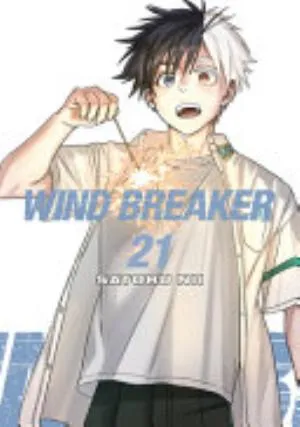 Cover of WIND BREAKER volume 21, English edition