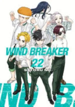 Cover of WIND BREAKER volume 22, English edition