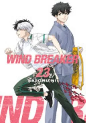 Cover of WIND BREAKER volume 23, English edition
