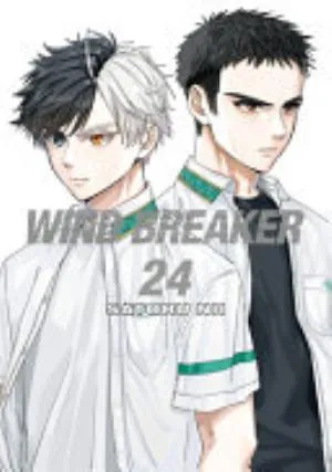 Cover of WIND BREAKER volume 24, English edition