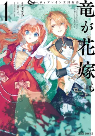 Cover of Tale of the Wizrain Kingdom: The Dragon Is the Bride