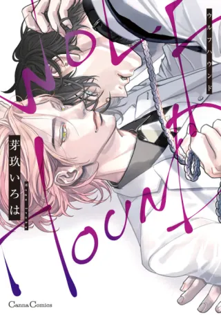 Cover of Wolfhound