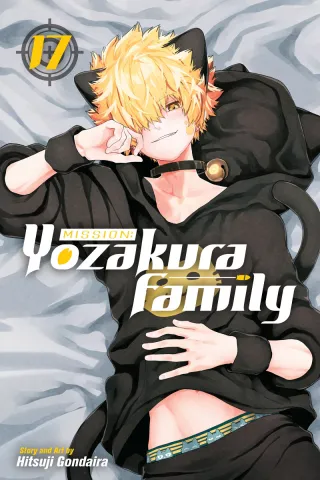 Cover of Mission: Yozakura Family volume 17, English edition